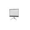 Celexon Stativ-Leinwand Economy 244 x 183 cm 16:9