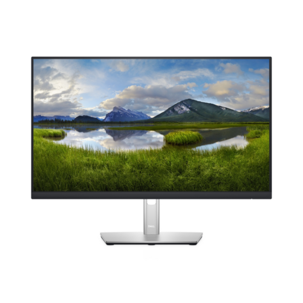 DELL P2422H 60