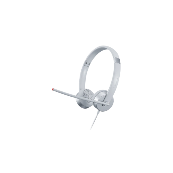 Lenovo 100 Stereo Analog Headset Grau GXD1B60597