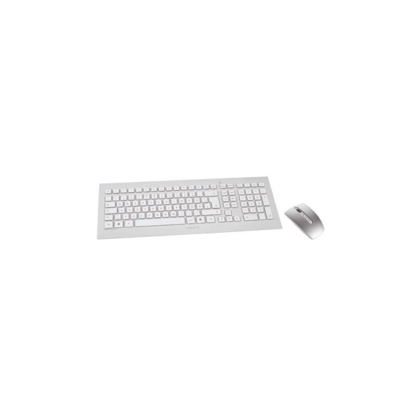 Cherry DW 8000 Maus-Tastaturkombination gelasert USB kabellos DE Layout silber