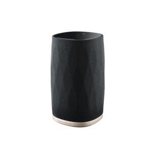 Bowers & Wilkins Formation Flex Multiroom Smart-Speaker Wifi