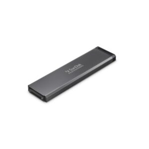 SanDisk Professional PRO-BLADE SSD 1 TB Mag Wechselgehäuse