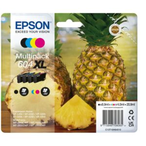 Epson 604 Original Druckerpatrone Multipack XL C13T10H64010 Ananas Tinte