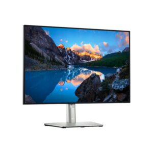 DELL UltraSharp U2421E 61