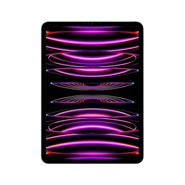 Apple iPad Pro 11" 2022 Wi-Fi 256 GB Space Grau MNXF3FD/A