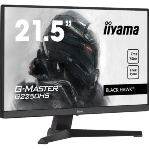 iiyama G-Master G2250HS-B1 54