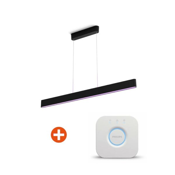 Philips Hue White & Color Ambiance Ensis Pendelleuchte sw