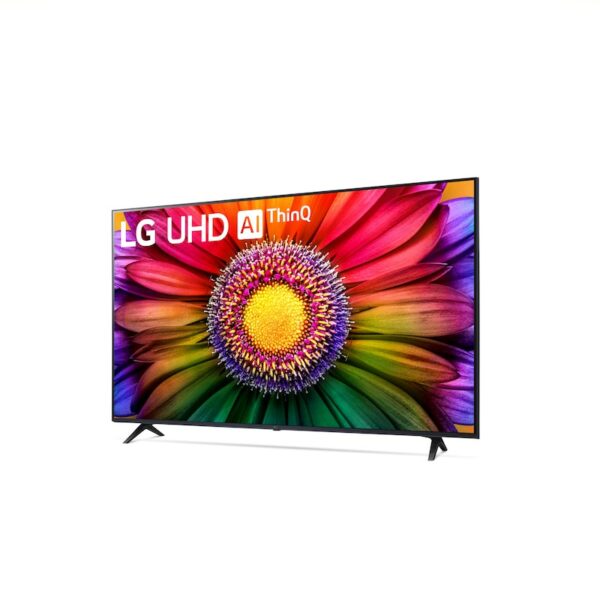 LG 65UR80006LJ 165cm 65" 4K LED Smart TV Fernseher