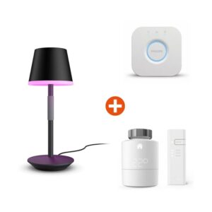 Philips Hue Wh. & Col. Amb. Go Tischleuchte sw